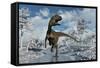 A Cryolophosaurus Dinosaur Walking Along a Stream of Modern Day Antarctica-Stocktrek Images-Framed Stretched Canvas