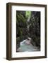 A Crystal Clear Stream Winds it Way Through the Partnacht Gorge in Garmisch-Partenkirchen, Germany-Adam Barker-Framed Photographic Print