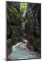 A Crystal Clear Stream Winds it Way Through the Partnacht Gorge in Garmisch-Partenkirchen, Germany-Adam Barker-Mounted Photographic Print