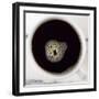 A Cup of Black Coffee-null-Framed Photographic Print