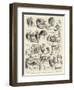 A Cure for Insomnia, a Page from a Subaltern's Life in India-Alexander Stuart Boyd-Framed Giclee Print