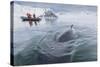 A Curious Antarctic Minke Whale (Balaenoptera Bonaerensis) Approaches the Zodiac in Neko Harbor-Michael Nolan-Stretched Canvas