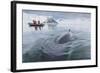 A Curious Antarctic Minke Whale (Balaenoptera Bonaerensis) Approaches the Zodiac in Neko Harbor-Michael Nolan-Framed Photographic Print