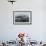 A Curious Antarctic Minke Whale (Balaenoptera Bonaerensis) in Neko Harbor, Antarctica-Michael Nolan-Framed Photographic Print displayed on a wall