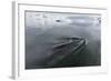 A Curious Antarctic Minke Whale (Balaenoptera Bonaerensis)-Michael Nolan-Framed Photographic Print