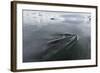 A Curious Antarctic Minke Whale (Balaenoptera Bonaerensis)-Michael Nolan-Framed Photographic Print