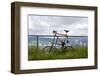 A Curious Bike on Mt. Tabor, Portland Oregon-Bennett Barthelemy-Framed Photographic Print