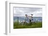 A Curious Bike on Mt. Tabor, Portland Oregon-Bennett Barthelemy-Framed Photographic Print