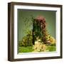 A Curious Entrance-Atelier Sommerland-Framed Art Print