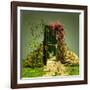 A Curious Entrance-Atelier Sommerland-Framed Art Print