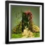 A Curious Entrance-Atelier Sommerland-Framed Art Print