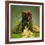 A Curious Entrance-Atelier Sommerland-Framed Art Print