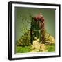 A Curious Entrance-Atelier Sommerland-Framed Art Print