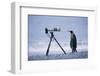 A Curious King Penguin-Paul Souders-Framed Photographic Print