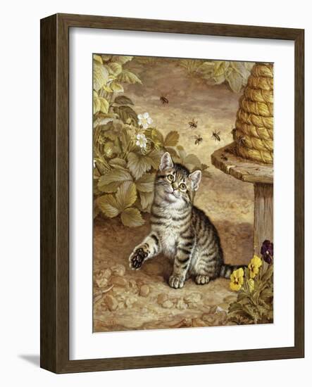 A Curious Kitten-Frank Paton-Framed Giclee Print