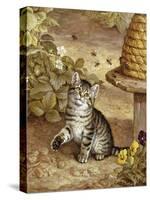 A Curious Kitten-Frank Paton-Stretched Canvas