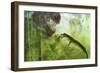 A Curious Koumpiodontosuchus Eyes a Neovenator-Stocktrek Images-Framed Art Print