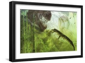 A Curious Koumpiodontosuchus Eyes a Neovenator-Stocktrek Images-Framed Art Print