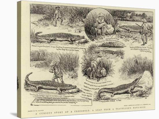 A Curious Story of a Crocodile, a Leaf from a Traveller's Note-Book-William Ralston-Stretched Canvas