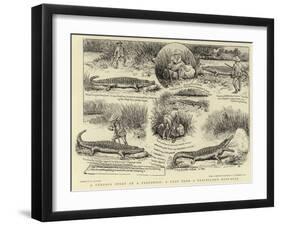 A Curious Story of a Crocodile, a Leaf from a Traveller's Note-Book-William Ralston-Framed Giclee Print