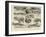 A Curious Story of a Crocodile, a Leaf from a Traveller's Note-Book-William Ralston-Framed Giclee Print