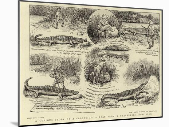 A Curious Story of a Crocodile, a Leaf from a Traveller's Note-Book-William Ralston-Mounted Giclee Print
