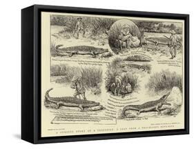 A Curious Story of a Crocodile, a Leaf from a Traveller's Note-Book-William Ralston-Framed Stretched Canvas