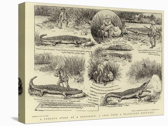 A Curious Story of a Crocodile, a Leaf from a Traveller's Note-Book-William Ralston-Stretched Canvas