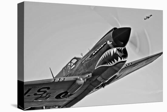 A Curtiss P-40E Warhawk in Flight Near Chino, California-null-Stretched Canvas