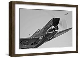 A Curtiss P-40E Warhawk in Flight Near Chino, California-null-Framed Photographic Print