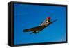 A Curtiss P-40E Warhawk in Flight Near Chino, California-null-Framed Stretched Canvas