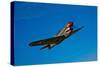 A Curtiss P-40E Warhawk in Flight Near Chino, California-null-Stretched Canvas