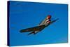 A Curtiss P-40E Warhawk in Flight Near Chino, California-null-Stretched Canvas