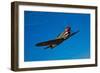 A Curtiss P-40E Warhawk in Flight Near Chino, California-null-Framed Photographic Print