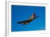 A Curtiss P-40E Warhawk in Flight Near Chino, California-null-Framed Photographic Print