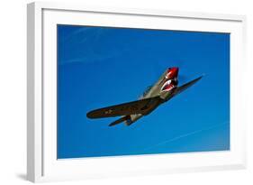 A Curtiss P-40E Warhawk in Flight Near Chino, California-null-Framed Photographic Print