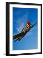 A Curtiss P-40E Warhawk in Flight Near Chino, California-null-Framed Premium Photographic Print