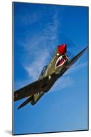 A Curtiss P-40E Warhawk in Flight Near Chino, California-null-Mounted Photographic Print