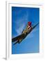 A Curtiss P-40E Warhawk in Flight Near Chino, California-null-Framed Photographic Print