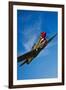 A Curtiss P-40E Warhawk in Flight Near Chino, California-null-Framed Photographic Print