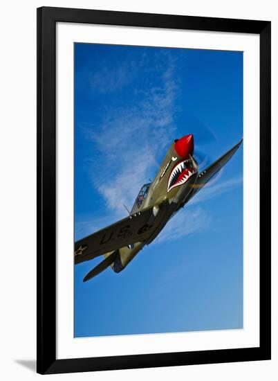 A Curtiss P-40E Warhawk in Flight Near Chino, California-null-Framed Photographic Print