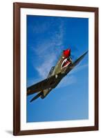 A Curtiss P-40E Warhawk in Flight Near Chino, California-null-Framed Photographic Print