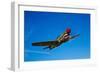 A Curtiss P-40E Warhawk in Flight Near Chino, California-null-Framed Photographic Print