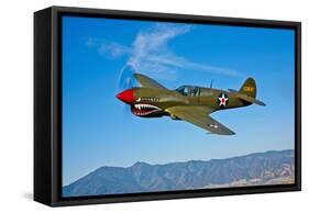 A Curtiss P-40E Warhawk in Flight Near Chino, California-null-Framed Stretched Canvas