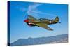 A Curtiss P-40E Warhawk in Flight Near Chino, California-null-Stretched Canvas