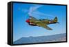 A Curtiss P-40E Warhawk in Flight Near Chino, California-null-Framed Stretched Canvas