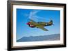 A Curtiss P-40E Warhawk in Flight Near Chino, California-null-Framed Photographic Print