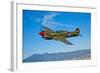 A Curtiss P-40E Warhawk in Flight Near Chino, California-null-Framed Photographic Print