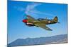 A Curtiss P-40E Warhawk in Flight Near Chino, California-null-Mounted Photographic Print