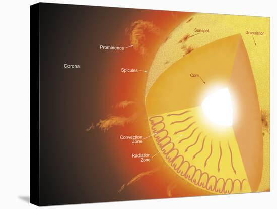 A Cutaway View of the Sun-Stocktrek Images-Stretched Canvas